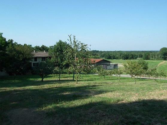 Agriturismo Cargandino Villa Mezzomerico Exterior foto